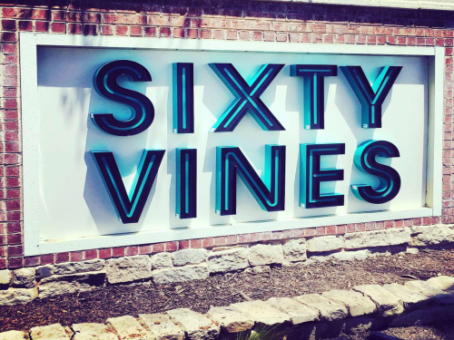 Sixty Vines